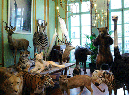 A room filled with lots of animal statues.